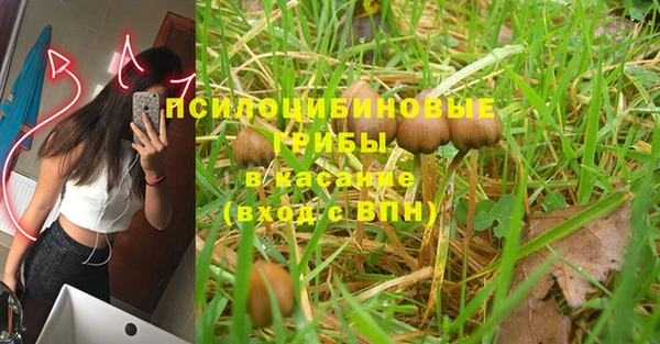 хмурый Михайловск