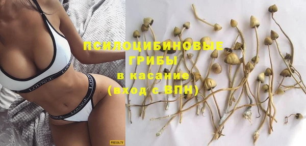 гидропоника Михайлов