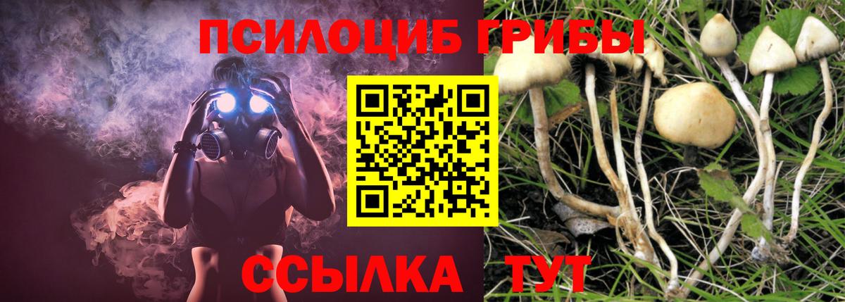 Псилоцибиновые грибы Magic Shrooms Чернушка
