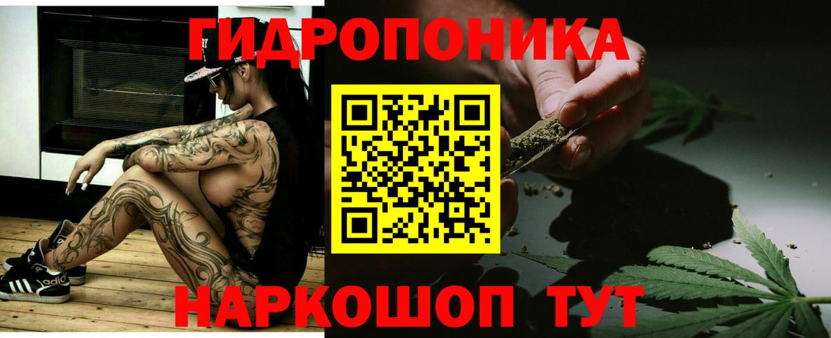 Бошки марихуана гибрид Чернушка